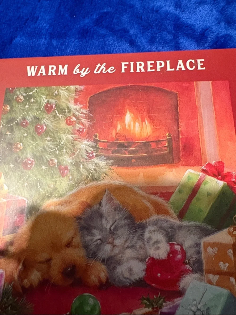 Marshalls Cozy Holiday Puzzle Box - Red, Green, Gold